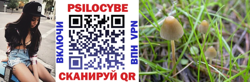 Псилоцибиновые грибы Psilocybe  MEGA сайт  Харабали 